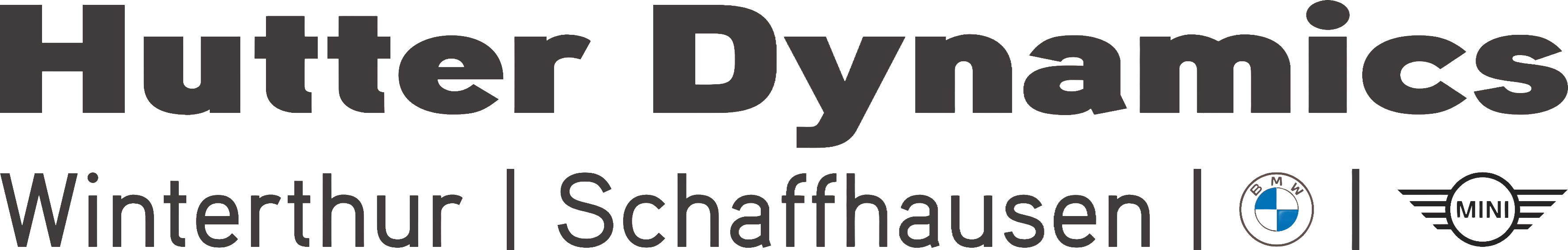 Hutter Dynamics